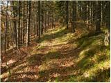 Vitanje - Basališče (Paški Kozjak)